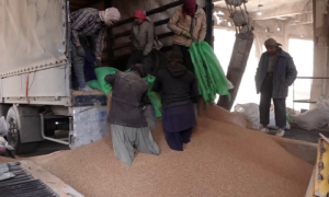 Afghan ministry finalizes purchase of 38,000 tons of wheat