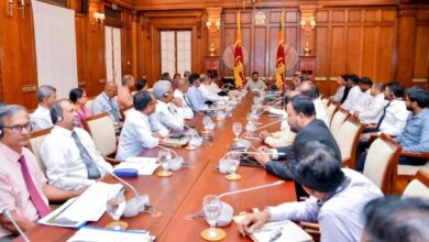 President suspends Mannar Wind Power Projects amid local concerns