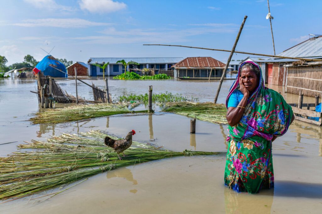 When India releases the waters of the Teesta during the monsoon season, flash floods in the northern part of Bangladesh damage crops and people.