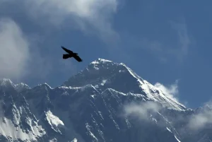 FILE - A bird flies with Mount Everest seen in the background from Namche Bajar, Solukhumbu district, Nepal, May 27, 2019. A Sherpa guide scaled Mount Everest on Sunday for the 26th time, matching the record set by a fellow Nepalese guide for the most ascents of the world’s highest peak. (AP Photo/Niranjan Shrestha, File