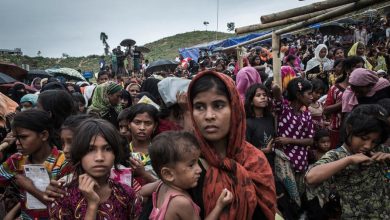 Rohingya refugee returns must meet international standards -UNHCR