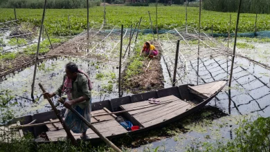 Shakti Kirtanya, standing, in his floating vegetable garden in Gopalganj.Credit...Fabeha Monir for The New York Times