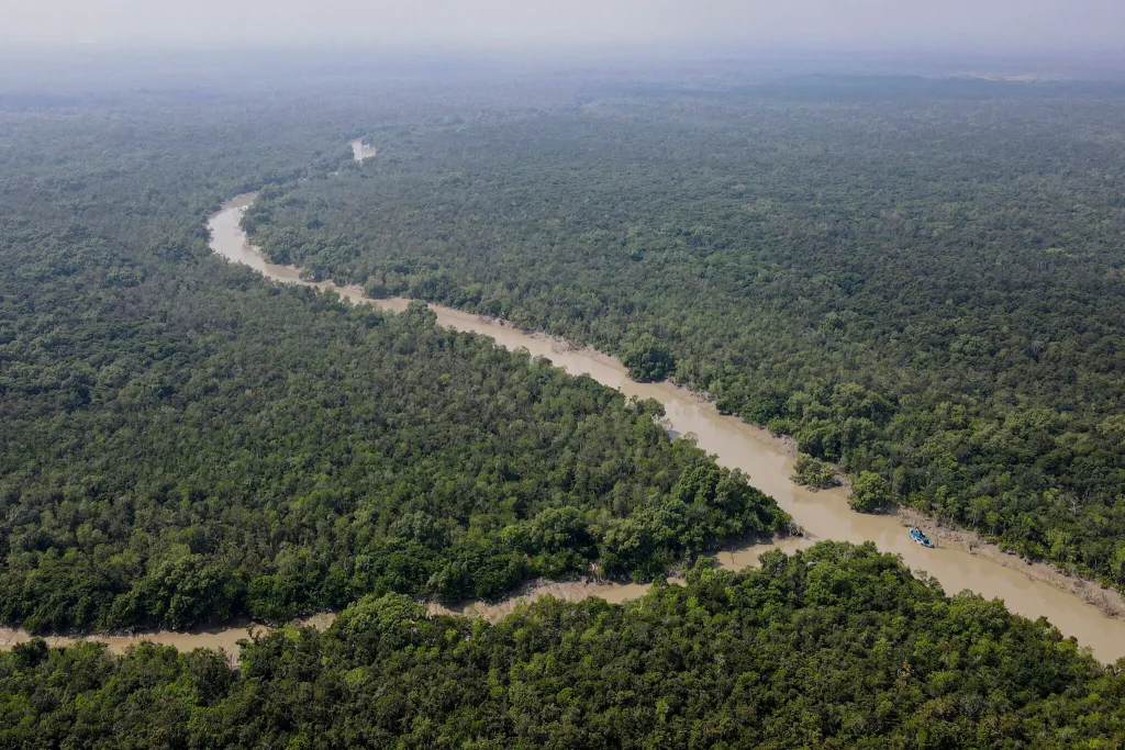 The Sundarbans mangrove forest.Credit...Al-Emrun Garjon/Associated Press