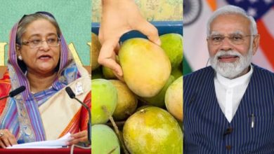 PM Hasina sends mangoes to India President Murmu, PM Modi, Sonia Gandhi