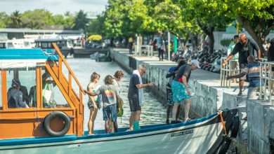 The number of tourists visiting the Maldives in May this year fell by 3.7 percent compared to the same month last year.