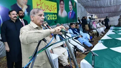 Prime Minister Shehbaz Sharif addressing the PML-N's General Council meeting in the party's secretariat in Islamabad. — Twitter/@PTVNewsOfficial
