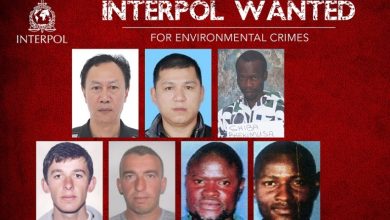 Sri Lanka has received the green light from Interpol to have access to the Interpol Foreign Terrorist Fighters (FTFs) list and that from now on