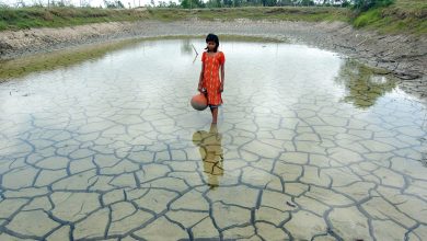 Early heat in South Asia is 30 times more likely due to climate change