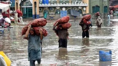 Labourers carry vegetable sacks as they wade through flood water after heavy monsoon rain in Lahore, Pakistan. Photograph: Xinhua/Shutterstock