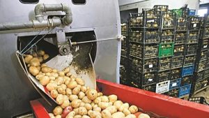 Imports Of Fresh Or Chilled Potatoes Stood At USD 1.02 Million In 2022-23.
