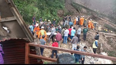 Himachal Pradesh rain mayhem kills 55