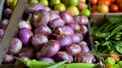 The onion production in India has decreased due to the impacts of climate change.