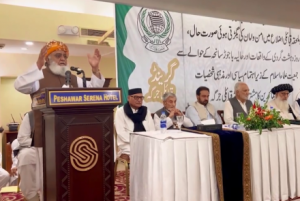 Following the explosion at a gathering of Jamiat Ulema-e-Islam members in Pakistan, the party's head in that country has urged the Afghan government to act against those elements involved in the attacks on Pakistani soil.