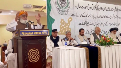 Following the explosion at a gathering of Jamiat Ulema-e-Islam members in Pakistan, the party's head in that country has urged the Afghan government to act against those elements involved in the attacks on Pakistani soil.