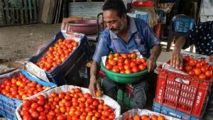 The retail price of tomatoes procured by NCCF and NAFED was initially fixed at Rs.90 per kg and, as wholesale prices began to ease, it was reduced to Rs.80 per kg from July 16. It was eased to Rs70 per kg from July 10. (PTI)