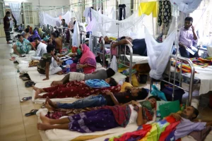 Dengue patients at Sir Salimullah Medical College Hospital in Dhaka, Bangladesh [File: Mohammad Ponir Hossain/Reuters]