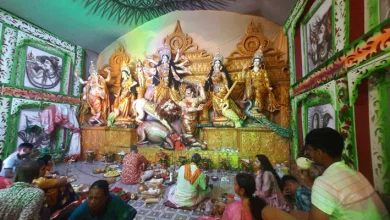 Shikdar Bari Mandap Hosts Grand Celebration with 501 Idols and 20 Lakh Devotees