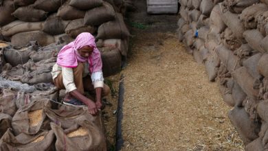 A worker seals sacks of paddy rice at a wholesale market in Haryana, India, earlier in October.Photographer. Photo Bloomberg