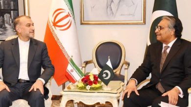 Pakistan Foreign Minister Jalil Abbas Jilani (right) with his Iranian counterpart Hossein Amir-Abdollahian in a Pakistan government handout photo © - / Pakistan Foreign Office/AFP