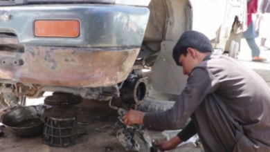 Rising Afghan Child Labor Highlights Urgent Need for Humanitarian Aid