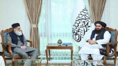 Afghan Acting Foreign Minister Engages with Pakistani Chargé d'Affaires in Kabul, Signaling Bilateral Cooperation