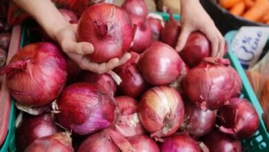 Indian Government Facilitates Onion Export to Bangladesh Amidst Global Shortage