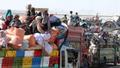 Pakistan Implements Stringent Measures: Nearly 300 Afghan Migrants Forced to Return Home
