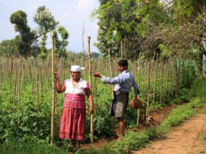 Sri Lankan farmers at work: Credit Sri Lankan Expedition