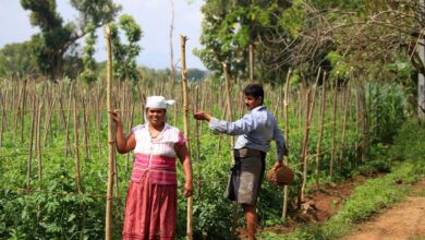 Sri Lankan farmers at work: Credit Sri Lankan Expedition