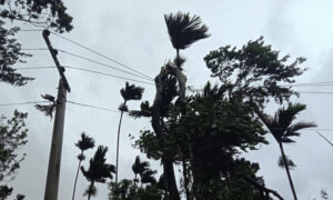 The image shows an electric pole in an area affected by Cyclone Remal in Satkhira on Monday, May 27, 2024.