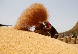 Bangladesh likely to raise food grain import budget by 34%
