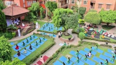 International Day of Yoga 2024: Indian Embassy in Nepal Organises Yoga Session in Front of Pashupatinath Temple