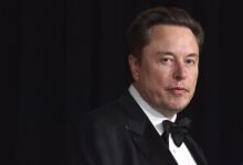 Elon Musk, CEO of SpaceX and Tesla and owner of X, formerly known as Twitter.(REUTERS)
