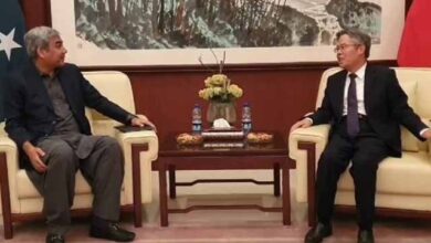 Interior Minister Mohsin Naqvi on Sunday met Chinese Ambassador to Pakistan Jiang Zaidong to discuss the protection and security of Chinese citizens in Pakistan.