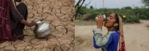We are already witnessing the effects of climate change through extreme weather, water scarcity, food shortages and biodiversity loss.Photos: UNDP India/Abhir Avasthi and UNDP India/Dhiraj SIngh