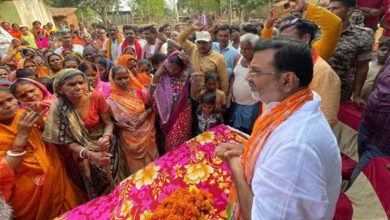 Hindus will disappear, claims BJP MP