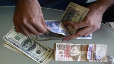 Pakistan's expatriate income increased by 10 percent
