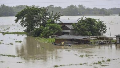 Flood-hit Assam, 84 dead