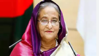 Sheikh Hasina will become illegal in India after 25 days