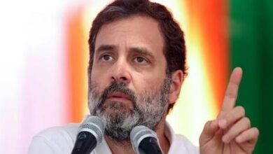 Rahul is trying to get Pakistan's help to remove Modi, BJP minister alleges