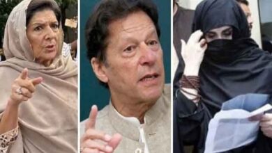 Imran's wife and sister had a heated argument in the court