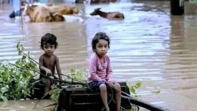 Floods in Bangladesh: Humanitarian disaster in affected areas