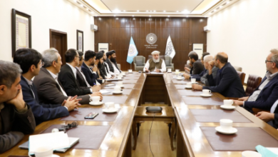 Iran Proposes Joint Mineral Economic Zone with Afghanistan