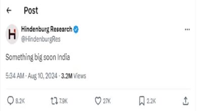 Hindenburg gave new hints about India