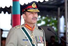 That's why China and Saudi-Emirates praised Pak army chief