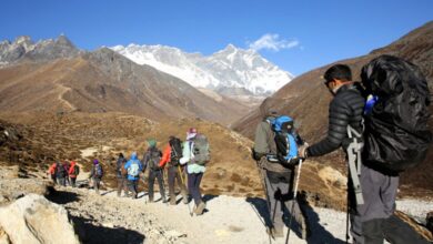 More trekkers make to Annapurna trekking route