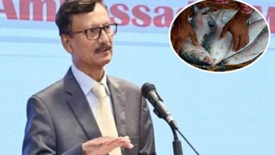 What the foreign advisor of Bangladesh said on the request to send hilsa to India
