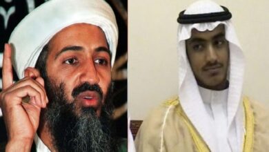 Intelligence reports claim: Bin Laden's son Hamza is leading al-Qaeda!