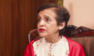 We Need to Talk to Afghanistan About Terrorism Issue: Tehmina Janjua