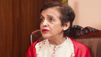 We Need to Talk to Afghanistan About Terrorism Issue: Tehmina Janjua